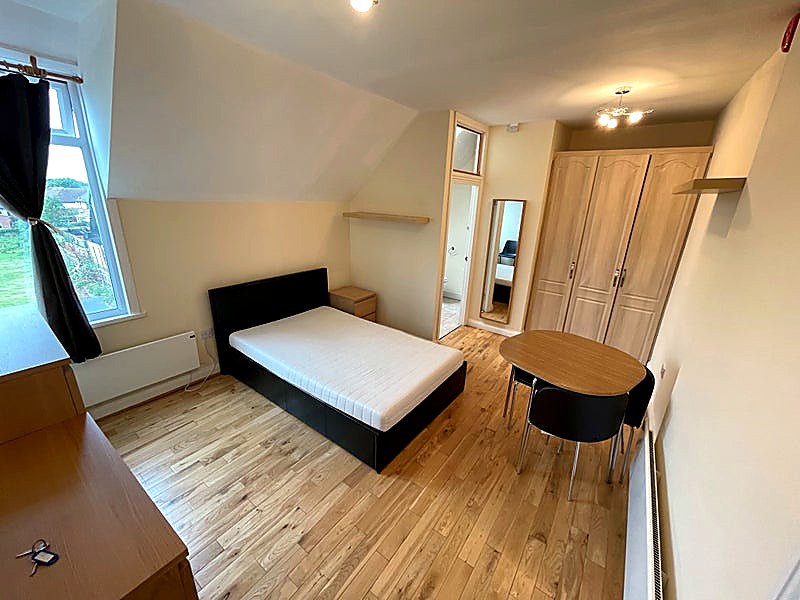 Fully furnished studio with private ensuite & kitchenette - South Norwood